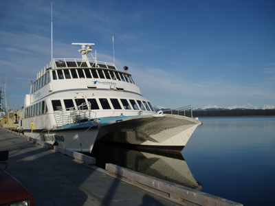 Glacier Bay Boat Cruise Experience